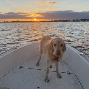 Fundraising Page: John Ryan